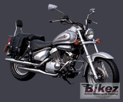 2002 Suzuki Intruder LC 250 photo